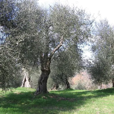 Casa Fioranna Seggiano
