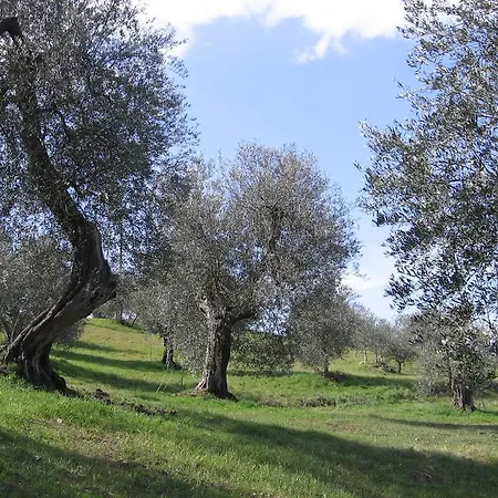 Dom wakacyjny Casa Fioranna Seggiano