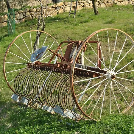 Casa Fioranna * Seggiano